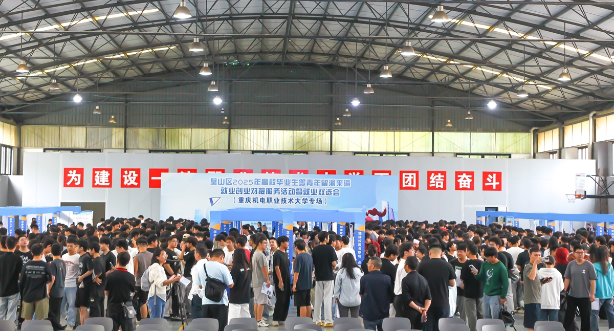 双选会2